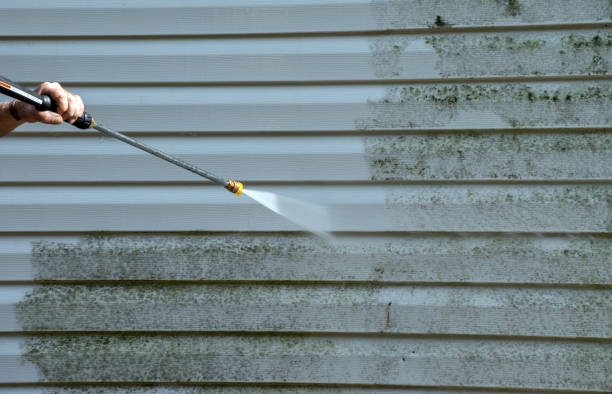 Best Roof Pressure Washing  in Evergreen Park, IL