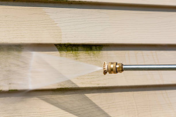 Best Exterior Home Cleaning  in Evergreen Park, IL